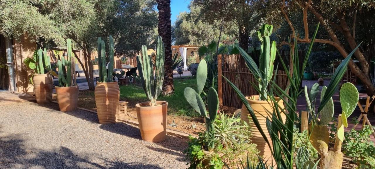 Bed and Breakfast Les Trois Paons Taroudant Exteriér fotografie