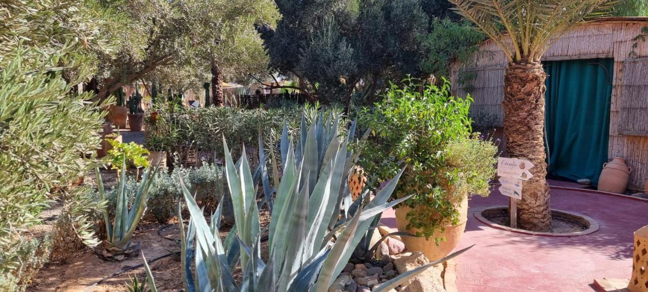 Bed and Breakfast Les Trois Paons Taroudant Exteriér fotografie
