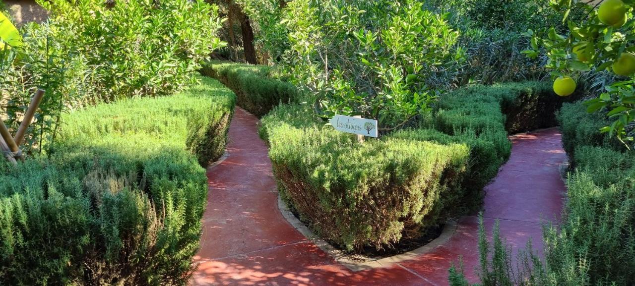 Bed and Breakfast Les Trois Paons Taroudant Exteriér fotografie