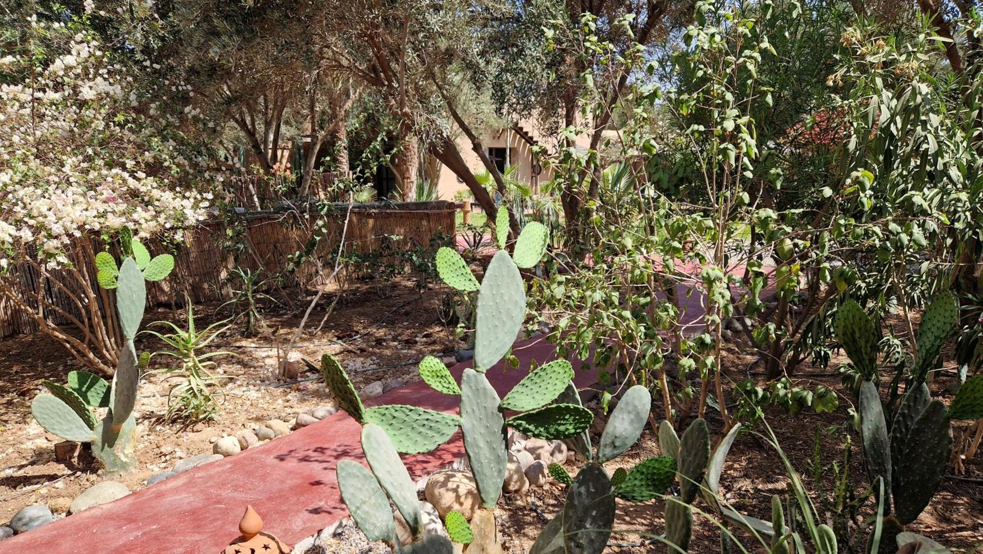 Bed and Breakfast Les Trois Paons Taroudant Exteriér fotografie