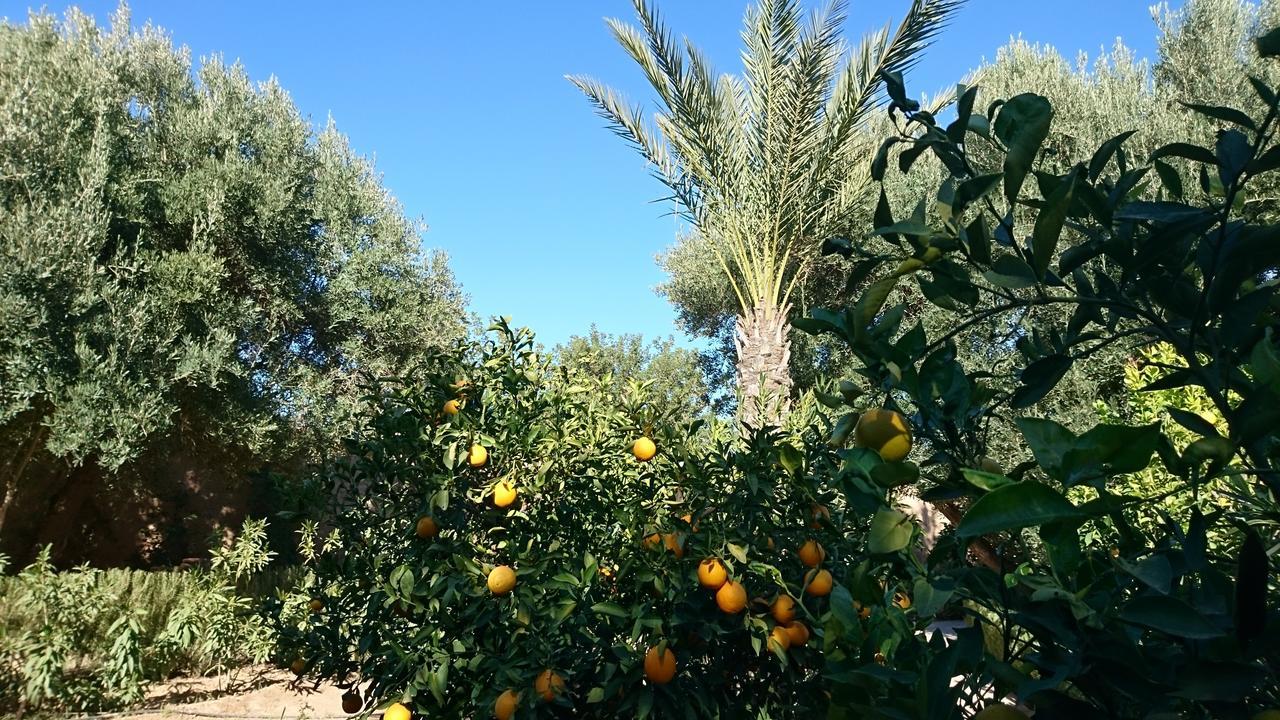 Bed and Breakfast Les Trois Paons Taroudant Exteriér fotografie